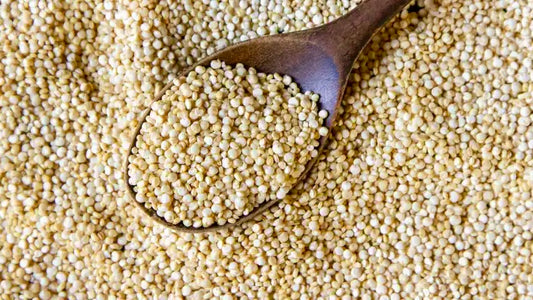 Quinoa Is All You Need